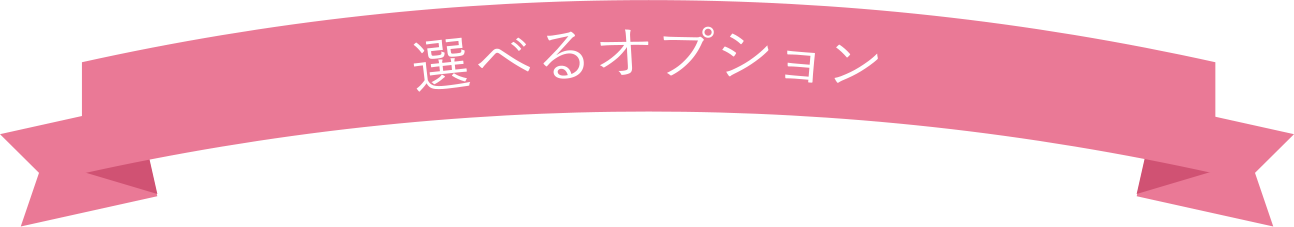 選べるオプション